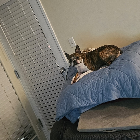 Meet your Posher, Aimee - Picture 11 of 12